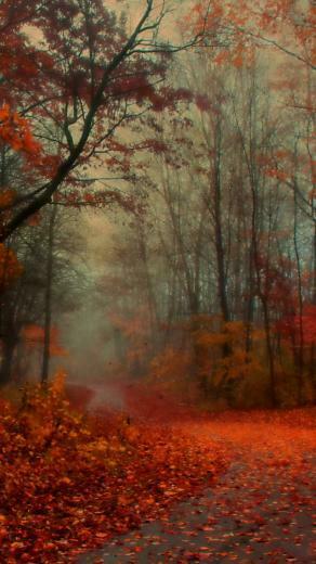 Romantic Autumn iPhone 5s Wallpaper iPad