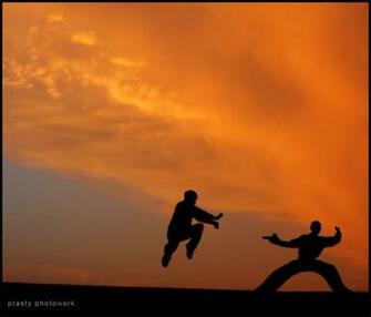 Pencak Silat By Ervinprasty