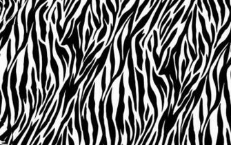 Zebra Print Wallpaper HD Net