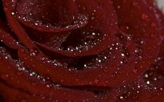 Displaying Image For Red Diamonds Wallpaper