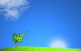 Eenzame Boom Met Blauwe Lucht En Zon Bureaublad Achtergrond
