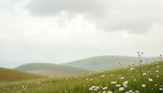Innocent Wallpaper