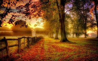 Misty Fall Day Pictures Photos And Image For