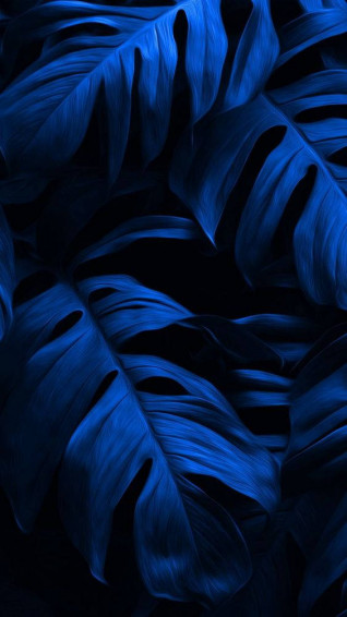 Top Dark Blue Aesthetic Wallpaper Full HD 4k To Use