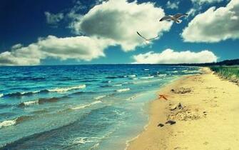 Category Animals HD Wallpaper Subcategory Birds