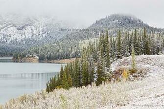 Cold And White Morning Scene Emerges After An Overnight Winter Snow