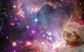 Astronaut Sloth Wallpaper Ing Gallery