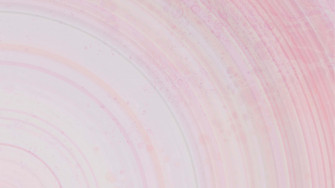 Aesthetic Computer Light Pink Wallpaper