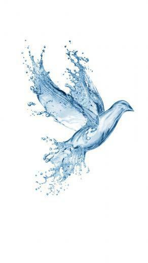 To Click On Water Splash Bird Wallpaper Then Choose Save