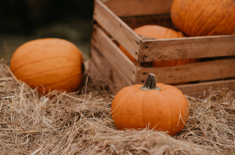 Cozy Autumn Wallpaper
