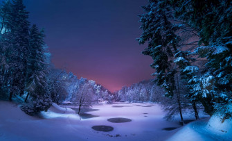 Winter Night Desktop Wallpaper