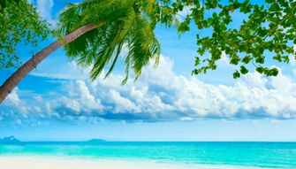 HD Paesaggio Tropicale Wallpaper Pc Sfondi Desktop