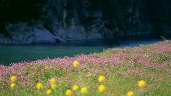 Kb Jpeg HD Wallpaper Quality Desktop
