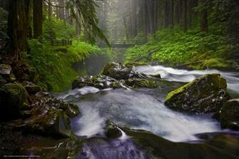 Washington State Desktop Wallpaper In The Resolution