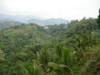 Scenery Wallpaper Tropical Mountain Baguio City To La Union