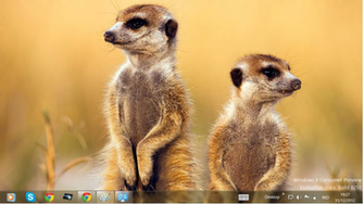 Windows Themes African Wildlife Theme