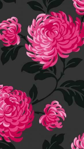 Hot Pink Flower Wallpaper Sf