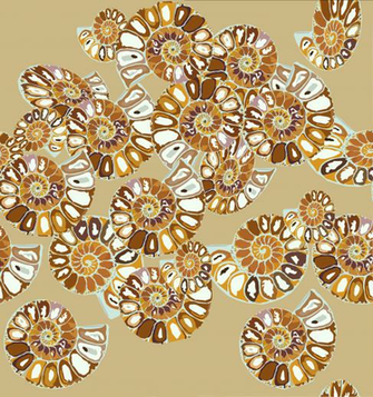 Ammonite Wallpaper Illustration