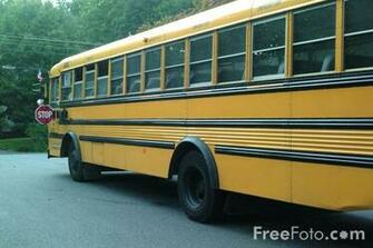 Yellow School Bus Pictures Use Image By Foto