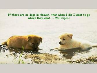 HD Dog Quotes Wallpaper