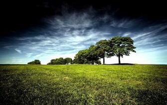 Nature Beautiful HD Landscape Picture Nr
