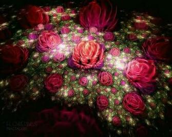Wallpaper And Screensavers