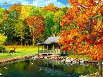 3d Animated Wallpaper For Windows
