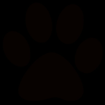 Free download Paw Prints Stock Photo HD Public Domain Pictures