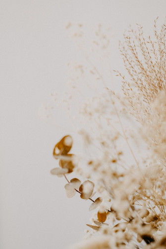 Brown And White Flower Petals Photo Image