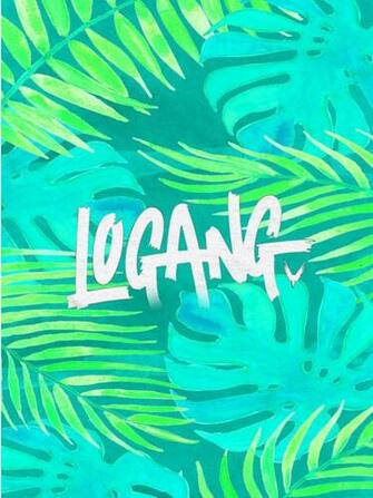 Logang Wallpaper Image Reverse Search