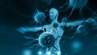 Postdoctoral Immunology Catalyst Gsk