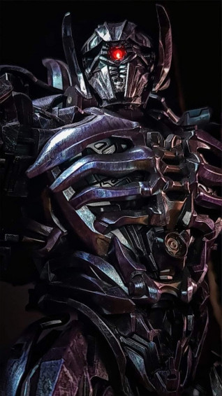 Lisa On M Robots In Transformers Megatron