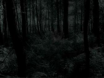 dark woods 2 2015