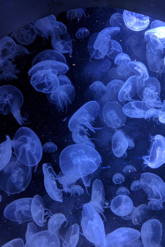 Neon Blue Aesthetic Wallpaper