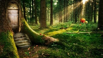 Enchanted Forest High Definition Wallpaper HD