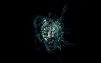 Wolf Wallpaper Net