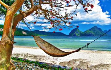 Wallpaper Summer Grass Beach Sky Sea Ocean Landscape Nature