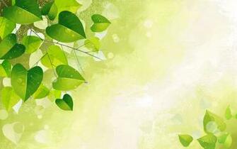 Beautifully Illustrated Vector Flower Background