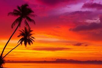 Sunset Wallpaper High Resolution Kvg63r6 4usky