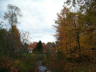In Maine Wallpaper Autumn Madison