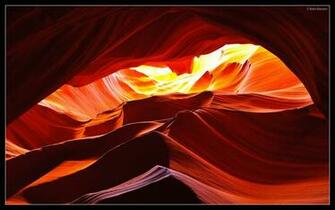 Antelope Jpg