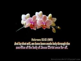 Christian Wallpaper Bible Verse Hebrews