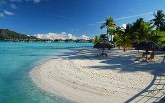 Perfect Beach Paradise Wallpaper