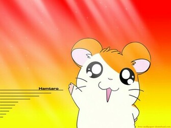 Cartoon Photo Collection Hamtaro Photos And Wallpaper