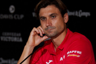 David Ferrer Wallpaper