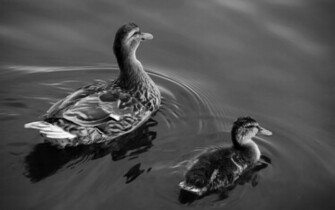 Best Wallpaper Collection Black And White