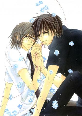 Junjou Romantica Mobile Wallpaper Zerochan Anime Image Board