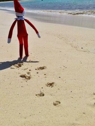 Elf On The Shelf At Beach Adult Elfin Around