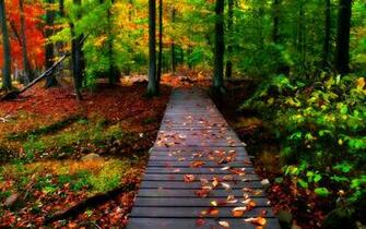 Nature S HD Wallpaper