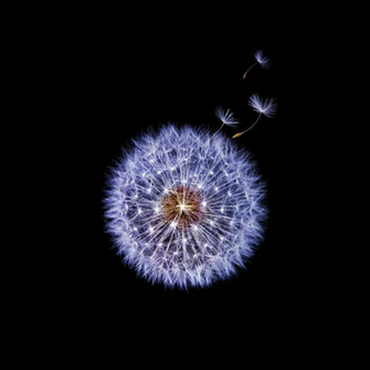 Official Galaxy S9 Wallpaper Now Available Em Here